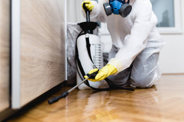 Best Affordable Pest Control Services  in Strasburg, OH