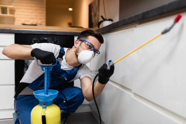 Best Pest Removal Services  in Strasburg, OH