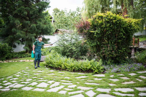 Best Wasp Removal Services  in Strasburg, OH