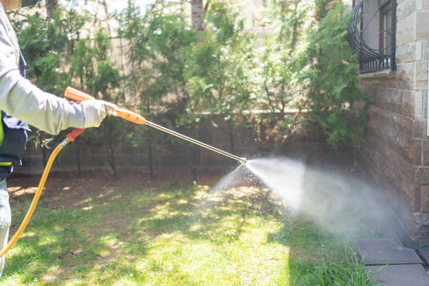Best Flea Control Services  in Strasburg, OH