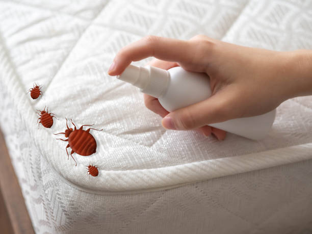 Best Pest Prevention Services  in Strasburg, OH