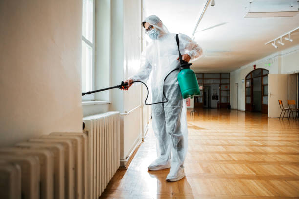 Best Best Pest Control Companies  in Strasburg, OH