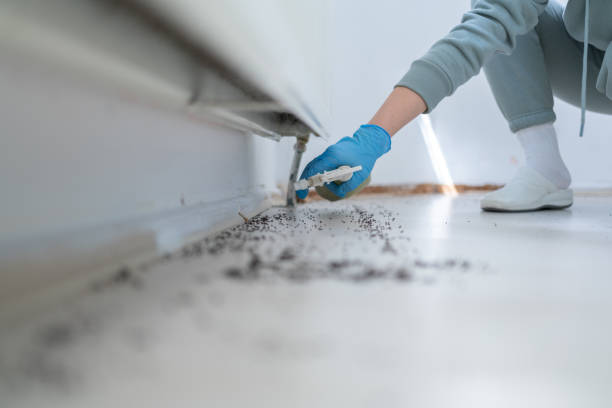 Best Affordable Pest Control Services  in Strasburg, OH